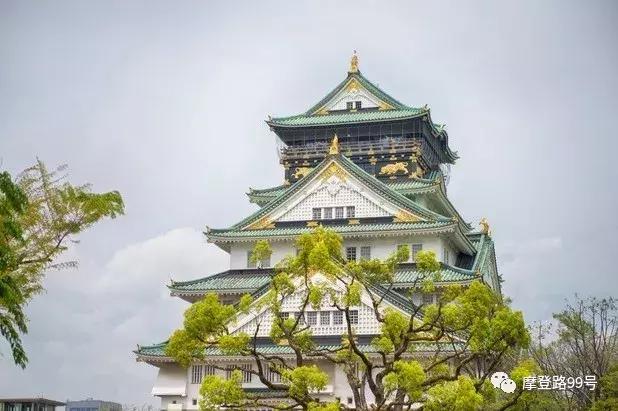 驻足东瀛|在樱花烂漫丛中品一场跨国球赛