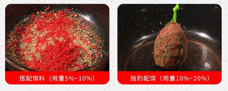 酒米多种吃法,野钓鲫鱼不停打酒米