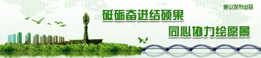 燕赵新作为致敬40年,致敬40年燕赵新作为