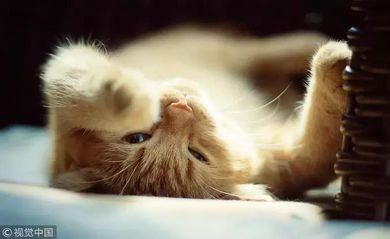 腋下淋巴疼痛引起高烧是怎么回事,突发左腋下肿大原因