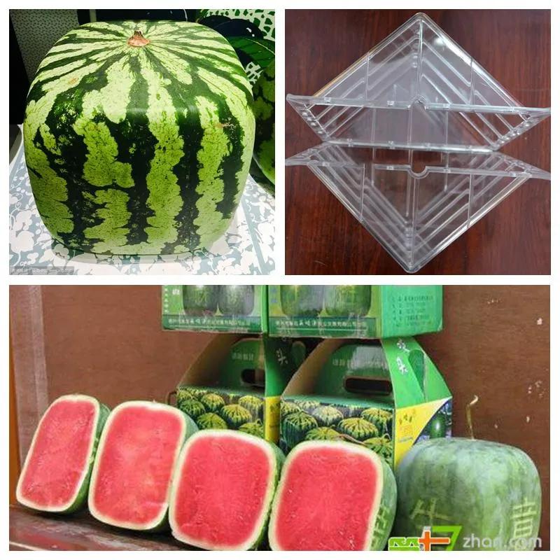 v脸绷带面罩可以改变脸型吗,v脸提拉神器面罩真的有用吗