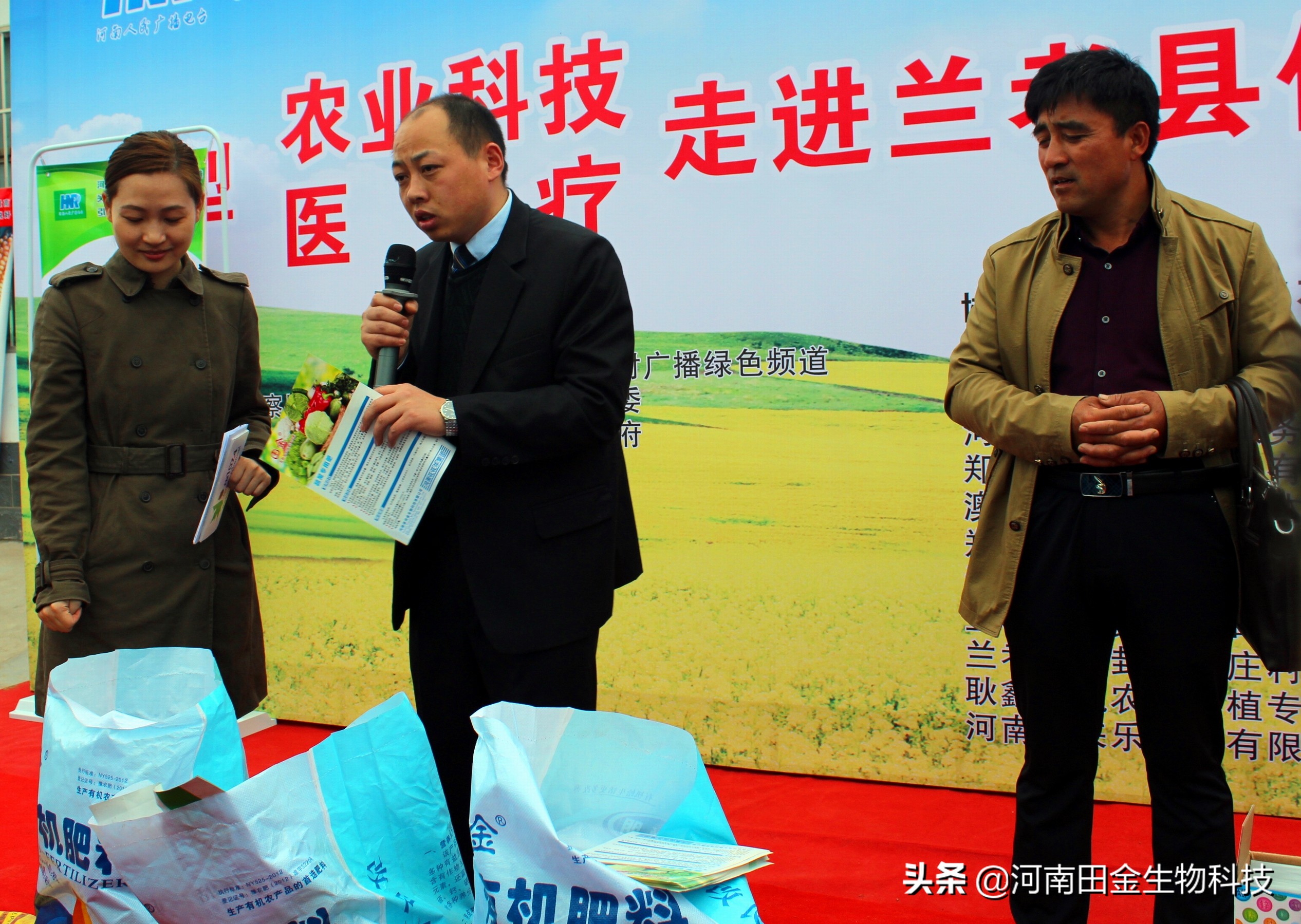 商麦1号选育报告