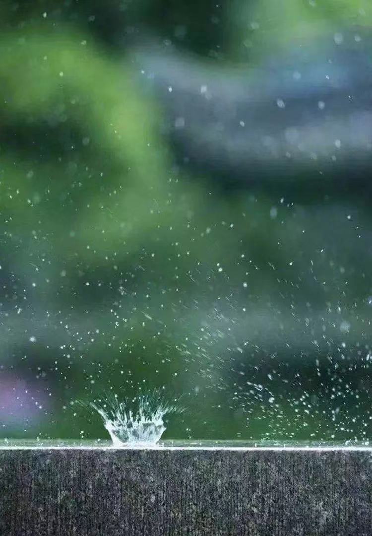 期货交易与远期交易的联系与区别,期货交易技术与资金管理