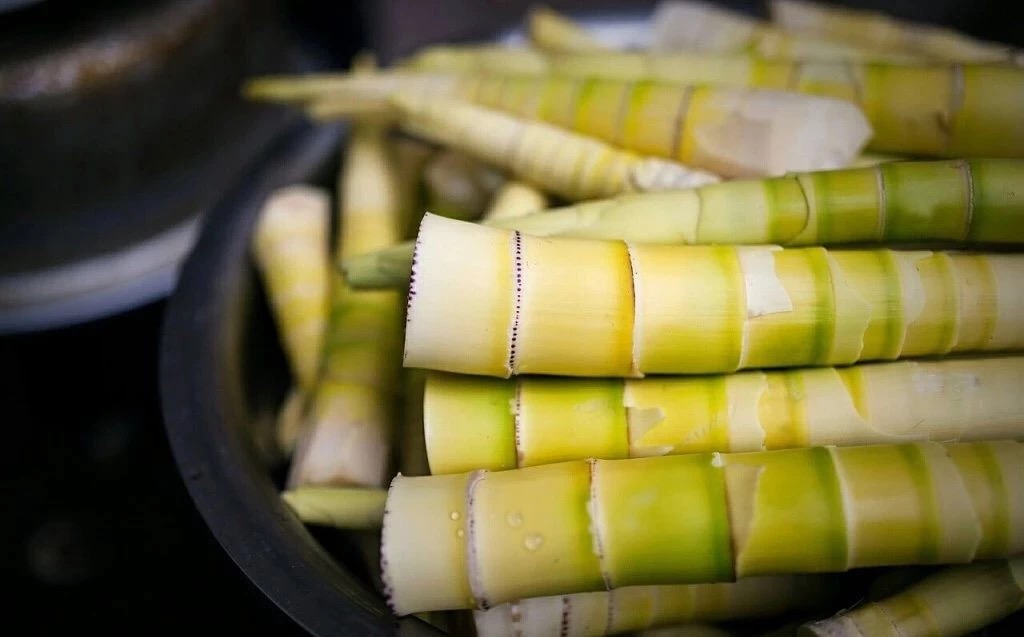不吃点季节限定美食，这个春天就太没意思了
