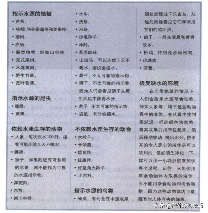 野外找水源最好的办法,野外四种找水方法