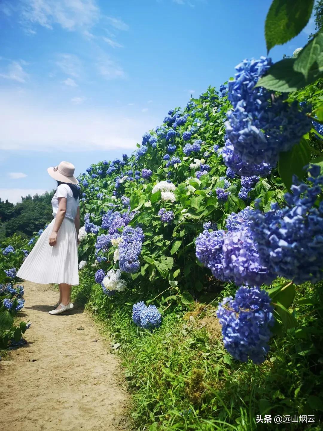 小米自拍杆使用教程,锐塔克自拍杆使用视频