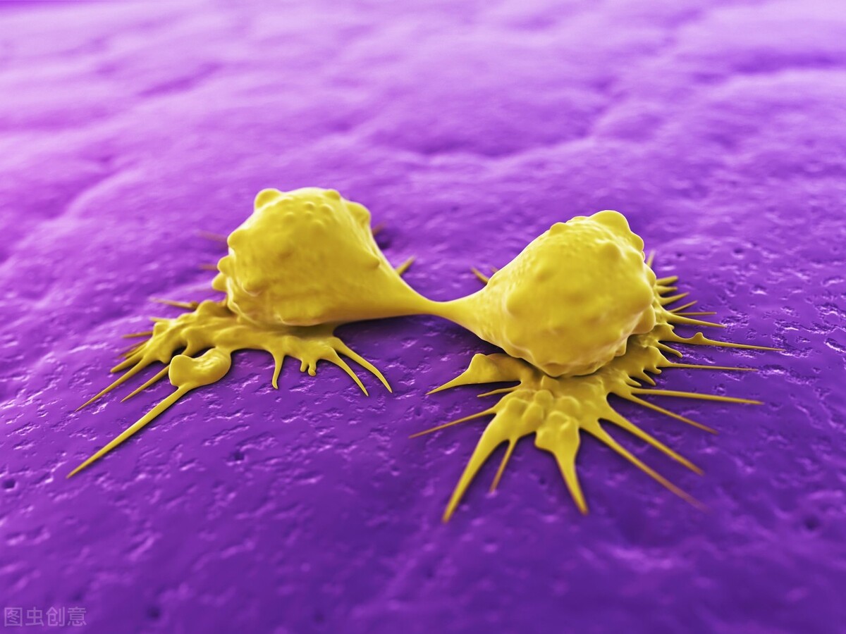 癌症保守治疗怎么杀死癌细胞,癌症的靶向治疗是种什么治疗