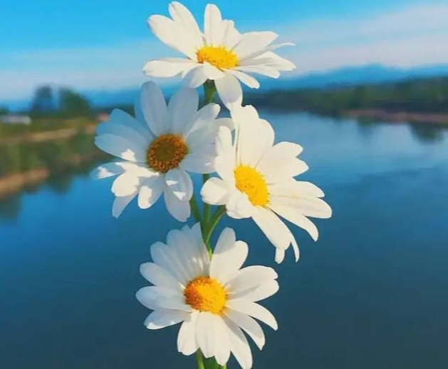 长期便秘会得癌吗,长期便秘偏方大全