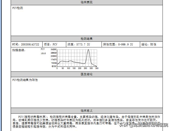 猫传腹治好了还会传染给其他猫吗,猫传腹打441见效后会一直变好吗