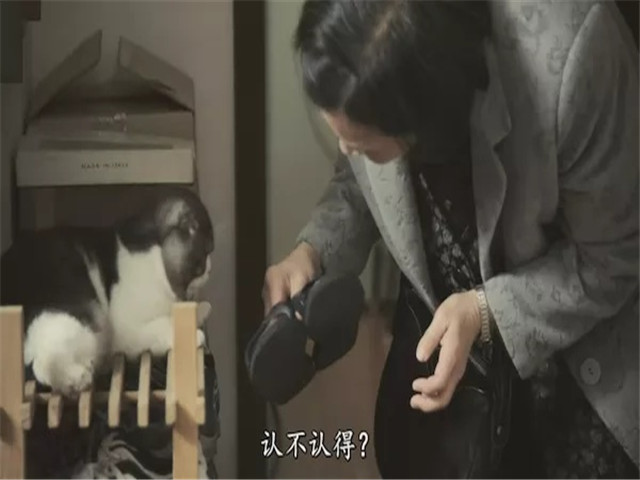 《桃姐》无情年代里八婆式主仆情,寡淡故事中流淌着生活的全部