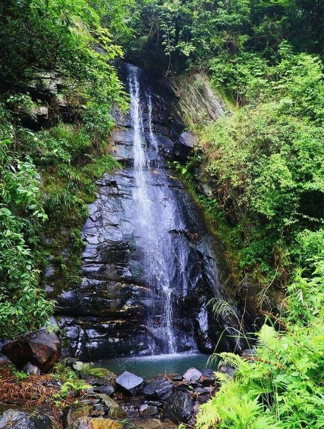 放假了，就去旬阳羊山吸氧、养心，洋洋自得拍“抖音”吧！