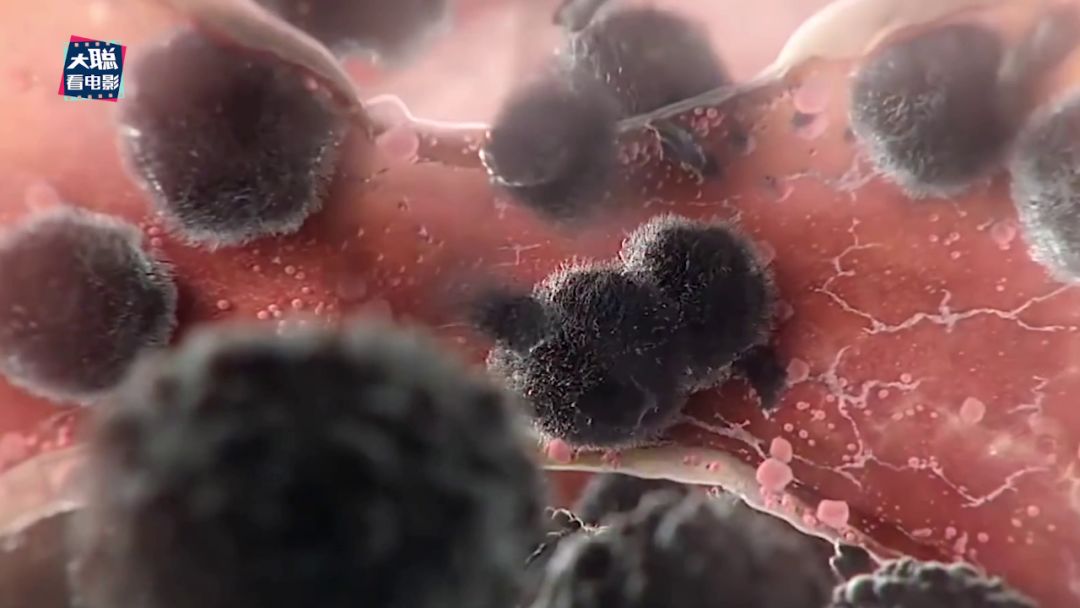 从地理视角看传染病电影,传染病科普视频动画