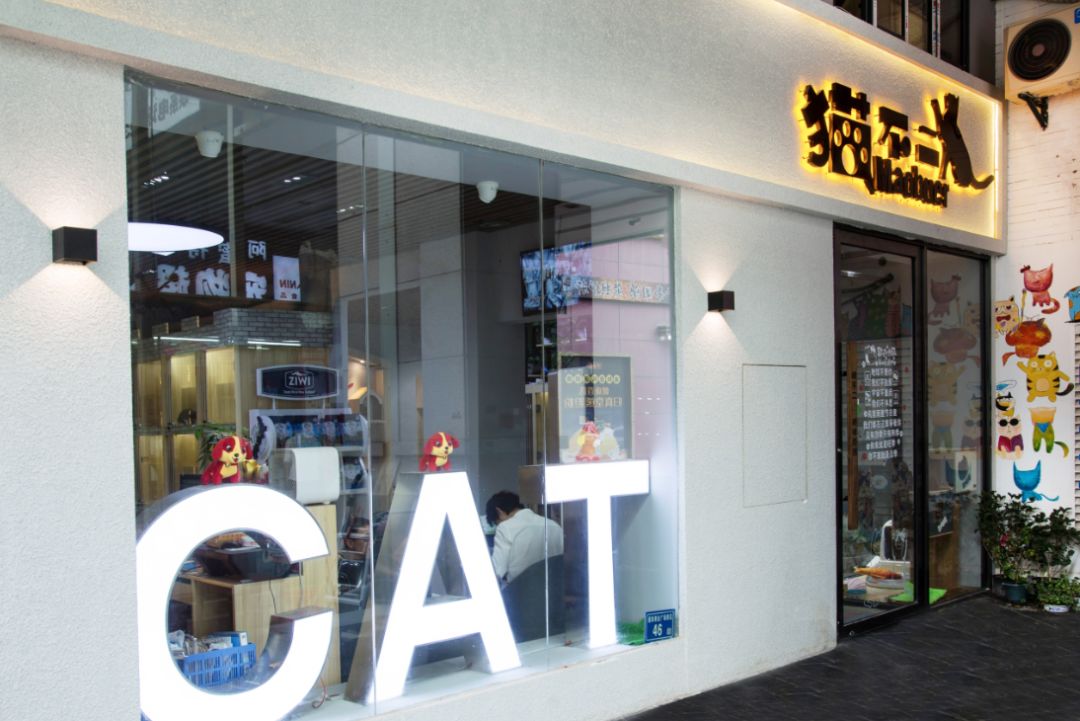 猫舍卖猫这行业为什么这么暴利,猫咪宠物店靠什么盈利