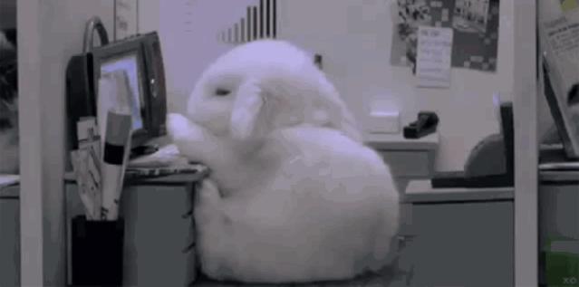 野生养娃、魔幻修路、吃的东西酸爽过头，冰岛这个国家真的好玄幻