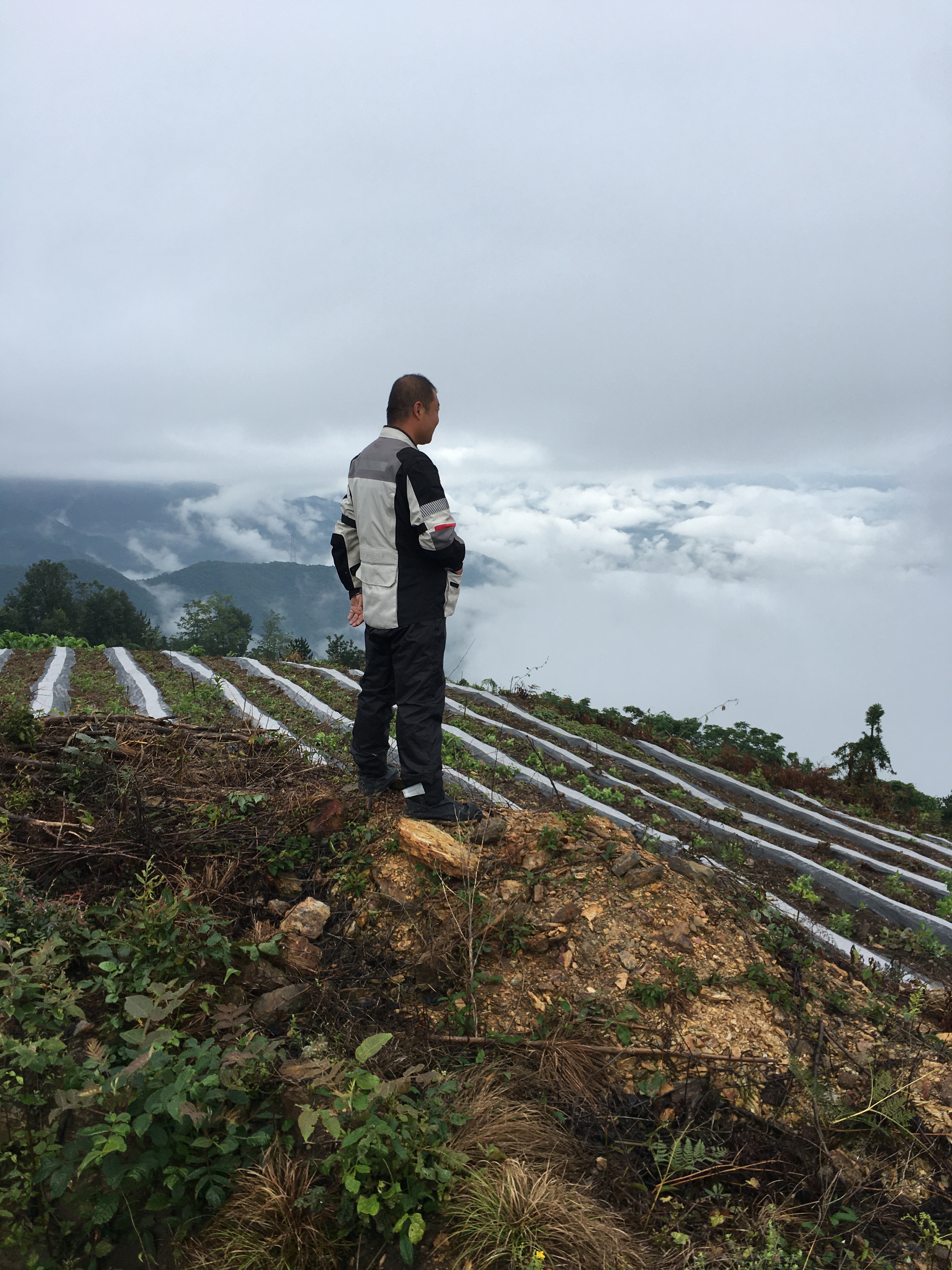 摩旅秦岭分水岭攻略,摩旅黑河森林公园