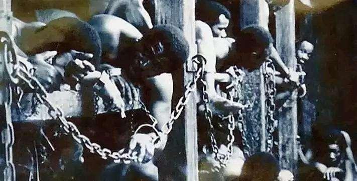 琛楃绮惧僵瑙嗛,琛楃424璁茶В