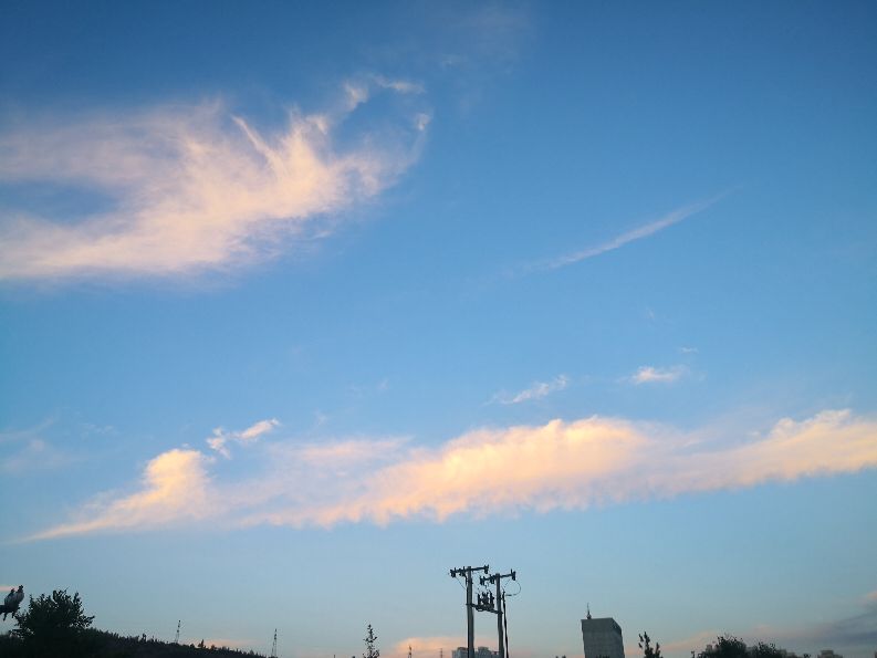 青海西宁回族女人性格特点,西宁人的特点是什么