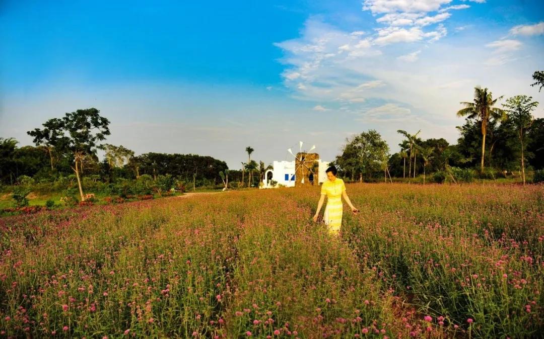 30亩庄园怎么赚钱,30亩农庄营业收入一般有多少