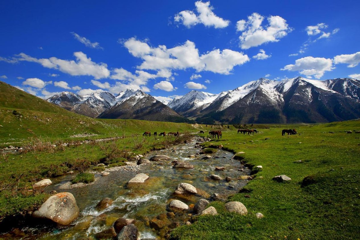 中国最后一方净土在哪里,中国最后的净土在夏尔西里