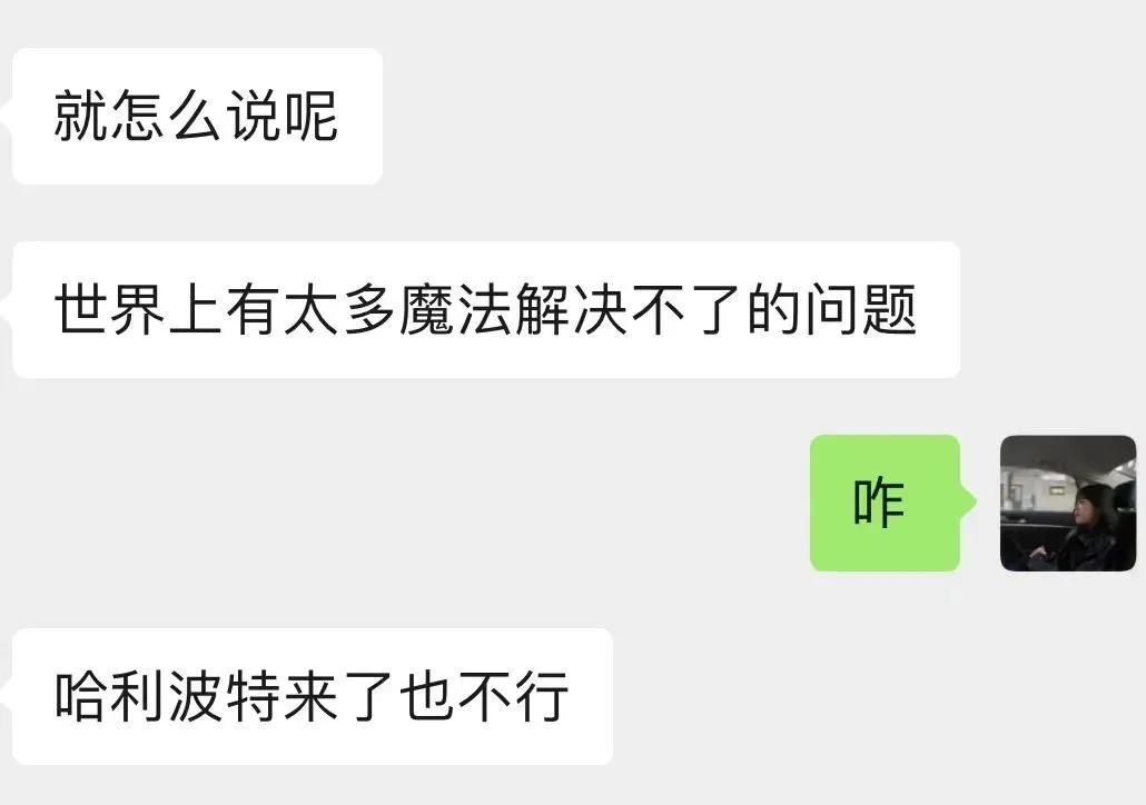 哈利波特的一生,哈利波特人物一生回忆录
