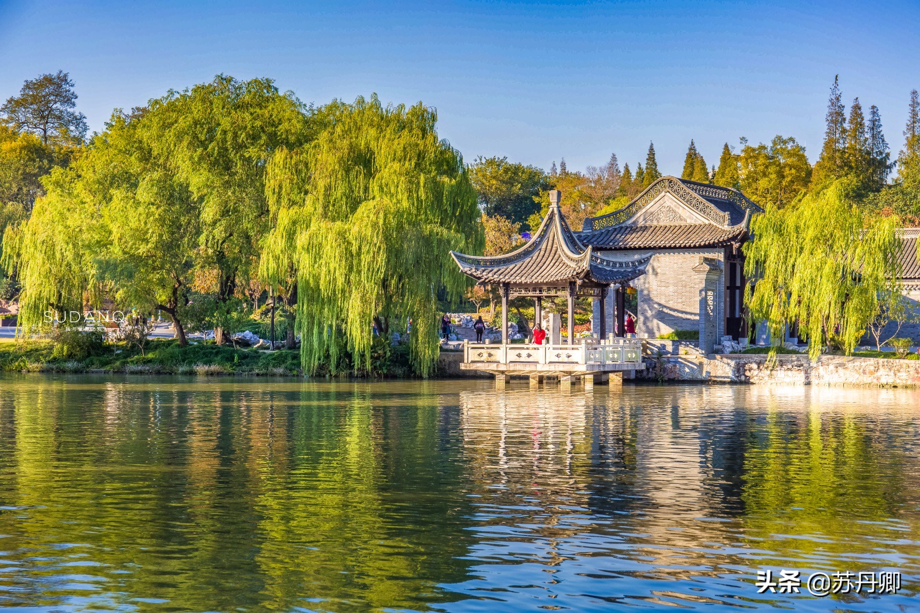 瘦西湖为什么出名,瘦西湖为什么值得游玩