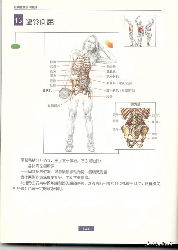 男士健身的进阶之路,男士运动健身全攻略