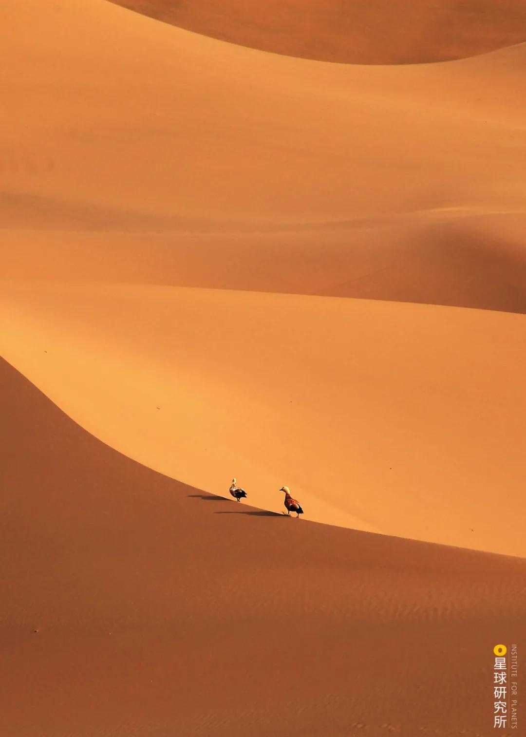 林草领域知识图谱,林草科普专业术语