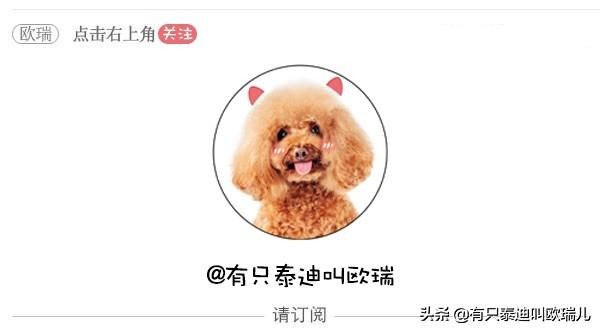 烧烤店迎客递菜单打扫好辛苦？黑拉拉：让专业的来！