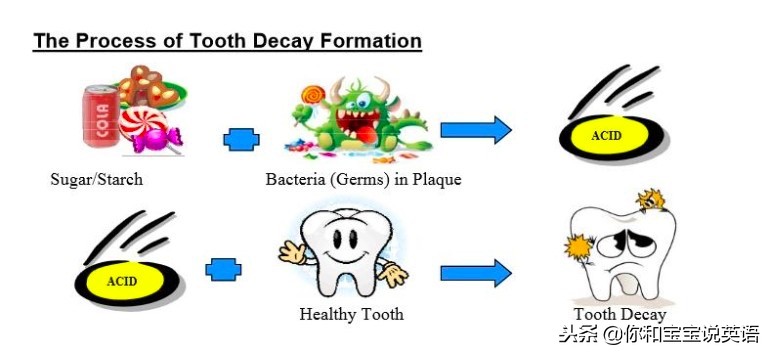 带小朋友看牙,带宝宝看牙医动画