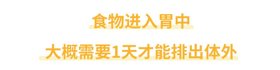 吃完东西就拉肚子营养被吸收了吗,吃了东西就拉肚子是胃炎吗