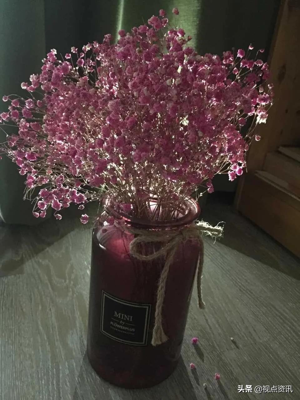 彩色的梦书法家,彩色的梦清华附小