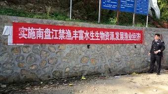 禁渔哪些地方可以钓鱼,河道禁渔期是否可以钓鱼