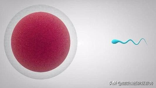 每次只有1-2个卵泡，还取不到卵子...那些生孩子付出的努力