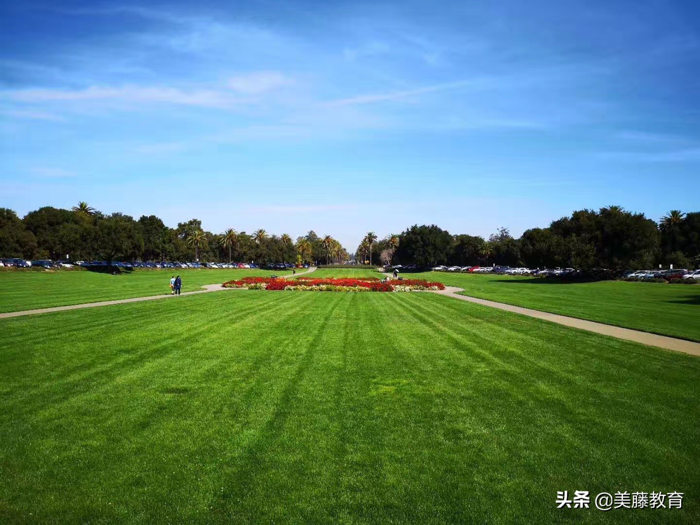 涓逛經澶у,缇庡浗涓逛經澶у