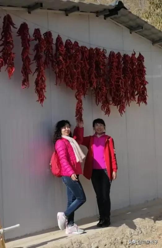 立冬自然风景,立冬雪景山水风景视频