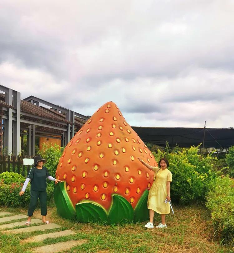 贵州蓬莱仙界旅游攻略,白云区蓬莱仙界景点介绍