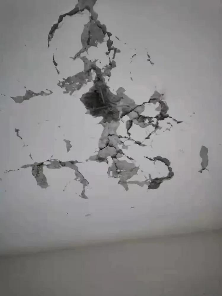 邻居装修打穿楼板业主索赔被拒,楼板打穿物业公司有责任吗