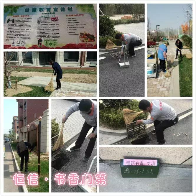 创城有我,创城有我秦皇岛