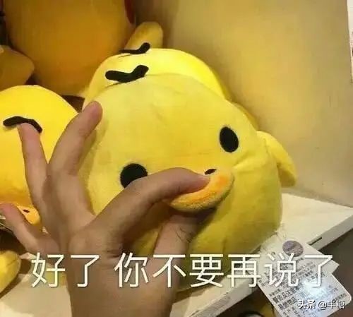 捧红了鹿晗、张艺兴的她，要做大码女装界的张大奕了么？