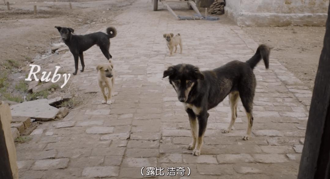 奥斯卡最佳短片记录印度女人争取卫生巾自由,卫生巾是怎么做成的