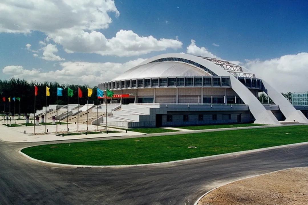 看了冬奥会感受,看了奥运会