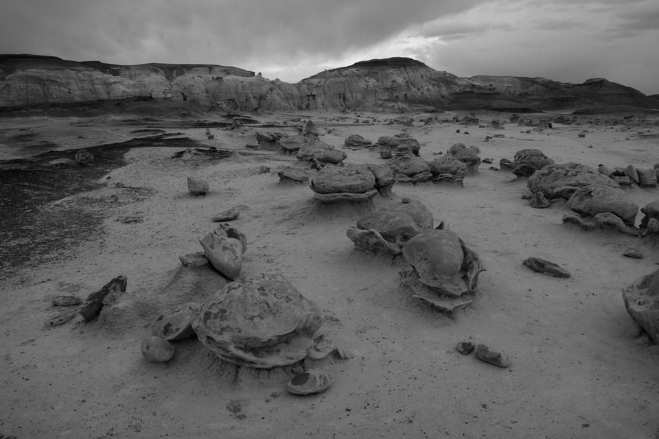 2023十佳最佳入门单反,2021入门级单反排行榜