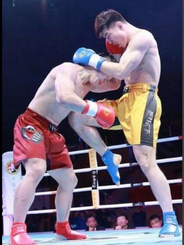 散打和自由搏击的区别,拳击散打自由搏击区别