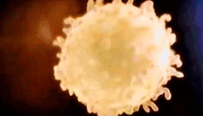 每一个都那么拼命前进，我们还好意思去选择性别吗？