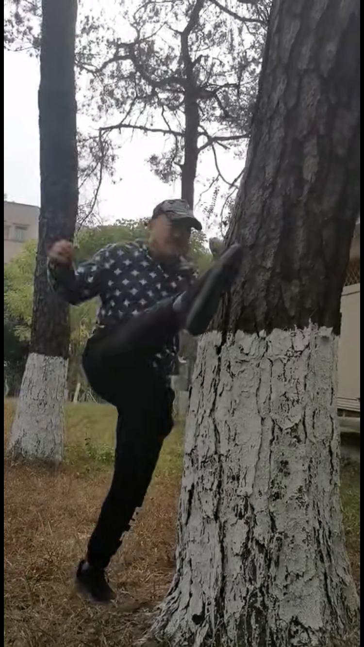 传武田野苦练里合腿绝技，踢飞树皮威慑太极雷雷，二战值得期待