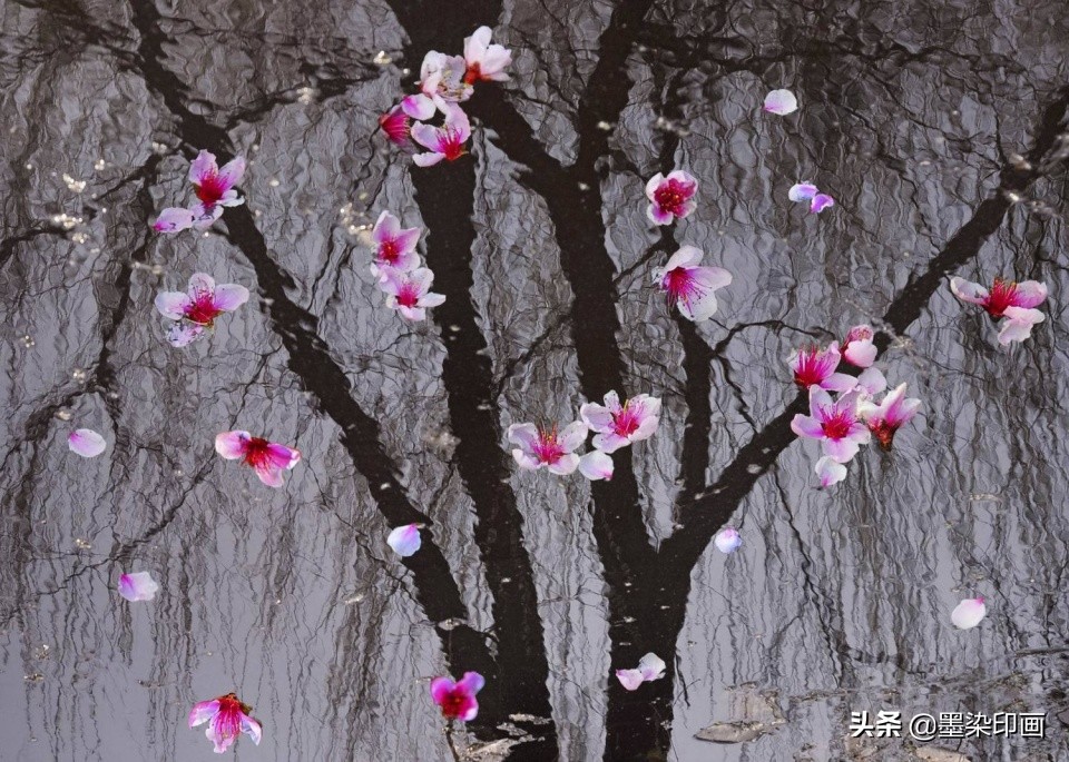 清明节拍摄风景图片,清明节全家踏青照片如何拍摄