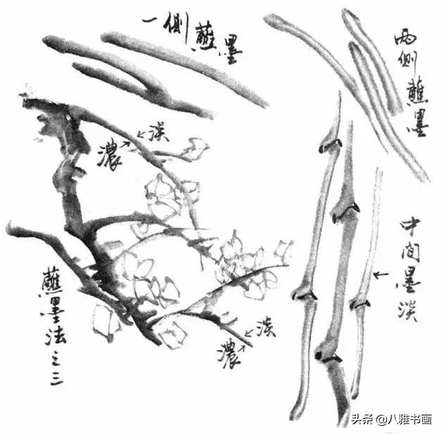 小写意花鸟画笔法,小写意花鸟画笔墨技法与创作