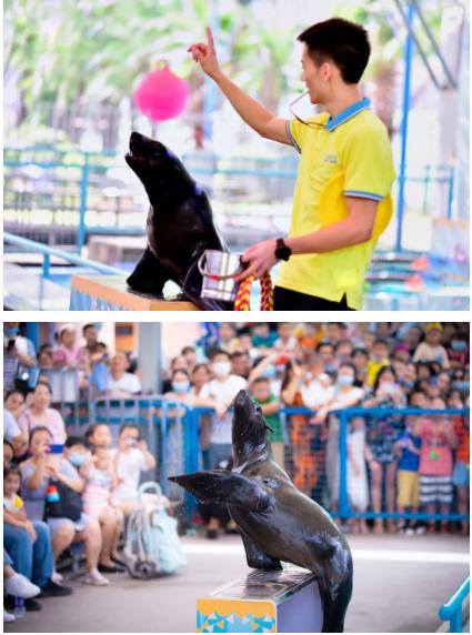 去不了海就去海洋馆,去不了大海就去海底世界