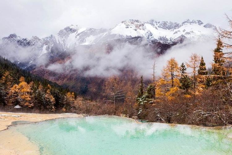 秋韵温柔岁月，冬情惊艳时光