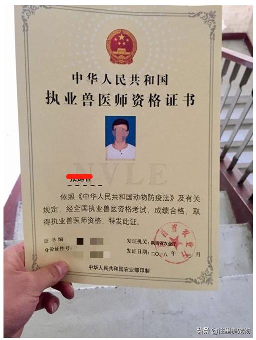 靠谱的宠物医院,好的宠物医院必须有哪些东西